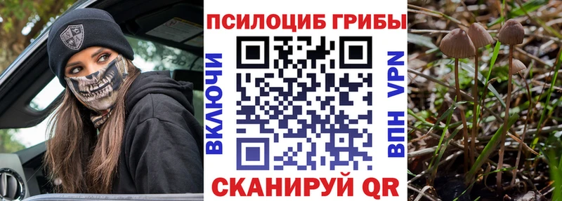 Псилоцибиновые грибы Magic Shrooms  Кингисепп 